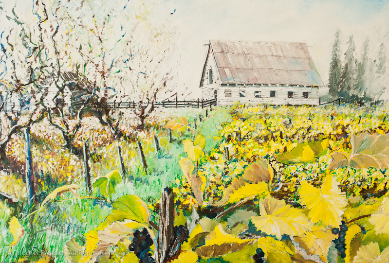 Fall Vineyard