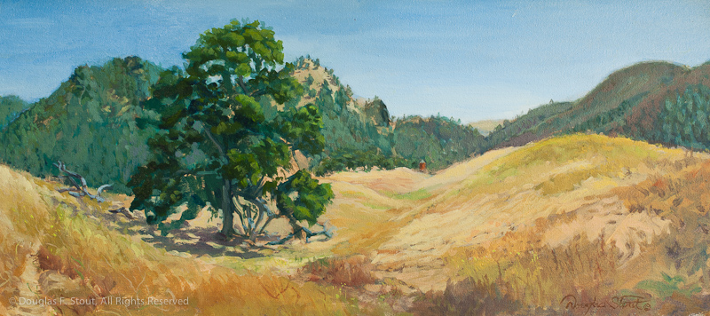 Mitchell Canyon, Mt. Diablo, CA